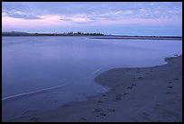 Sand bar shore with caribou tracks, evening. Kobuk Valley National Park, Alaska, USA.