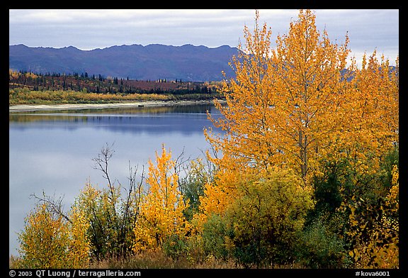 River, Warring Mountains, and fall colors at Onion Portage. Kobuk Valley National Park, Alaska, USA.