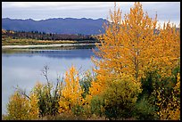 River, Warring Mountains, and fall colors at Onion Portage. Kobuk Valley National Park, Alaska, USA.