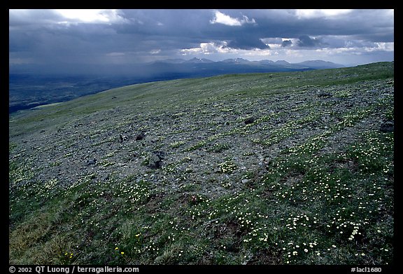 Tundra near Twin Lakes. Lake Clark National Park (color)