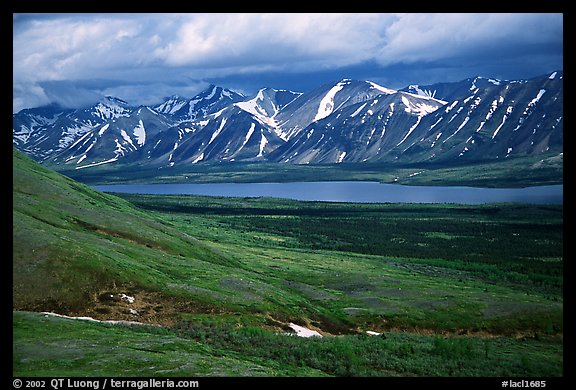 Verdant tundra, lake, and snowy mountains under clouds. Lake Clark National Park (color)