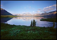 Twin Lakes with mountain reflections and green tundra, evening. Lake Clark National Park, Alaska, USA.