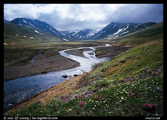 Valley with wildflowers, between Turquoise Lake and Twin Lakes. Lake Clark National Park (color)