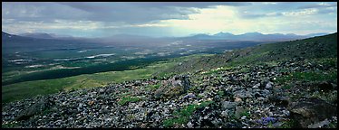 Summer tundra scenery with distant storm. Lake Clark National Park (Panoramic color)