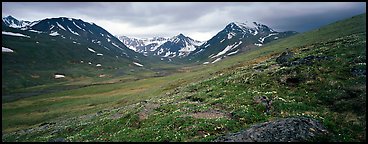 Summer mountain landscape with green tundra and wildflowers. Lake Clark National Park (Panoramic color)