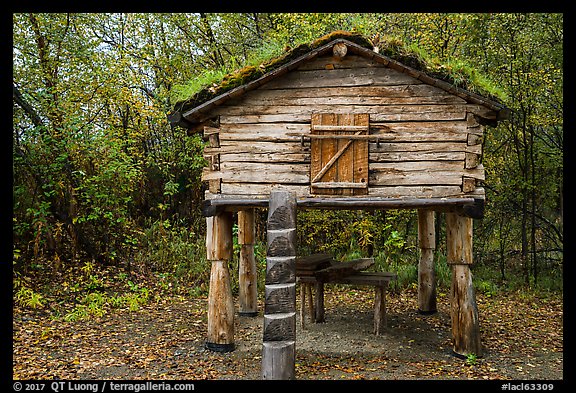 Denaina traditional fish cache. Lake Clark National Park (color)