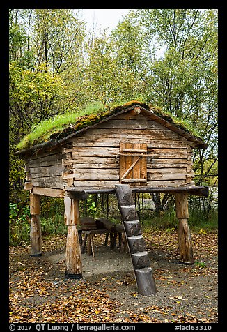 Denaina traditional fish storage. Lake Clark National Park (color)