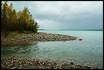 Stream flowing into Lake Clark, Port Alsworth,. Lake Clark National Park ( color)