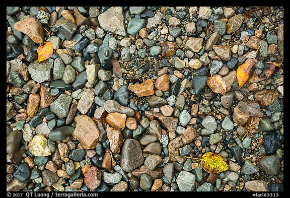 Close up of pebbles and fallen leaves on shore of Lake Clark. Lake Clark National Park, Alaska, USA.