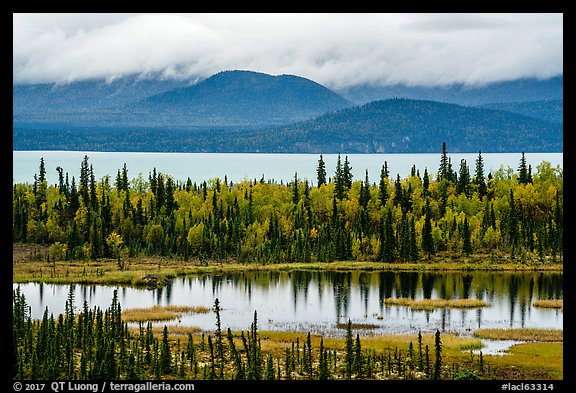 Beaver Pond and Lake Clark. Lake Clark National Park (color)