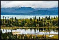 Beaver Pond and Lake Clark. Lake Clark National Park ( color)