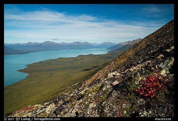 Tundra plants and Lake Clark (Qizhjeh Vena). Lake Clark National Park (color)