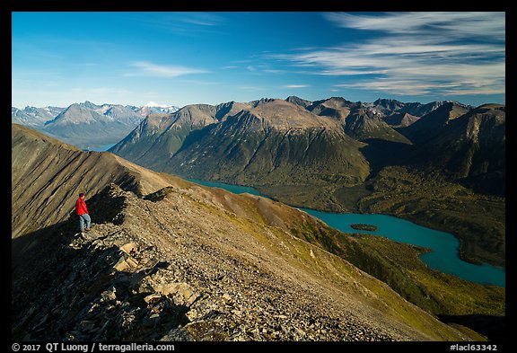 Visitor looking, summit of Tanalian Mountain and Kontrashibuna Lake. Lake Clark National Park, Alaska, USA.