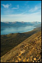 Lake Clark from Tanalian Mountain, looking north, afternoon. Lake Clark National Park, Alaska, USA.