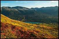 Tundra in autumn, Kontrashibuna Lake from Tanalian Mountain. Lake Clark National Park, Alaska, USA.