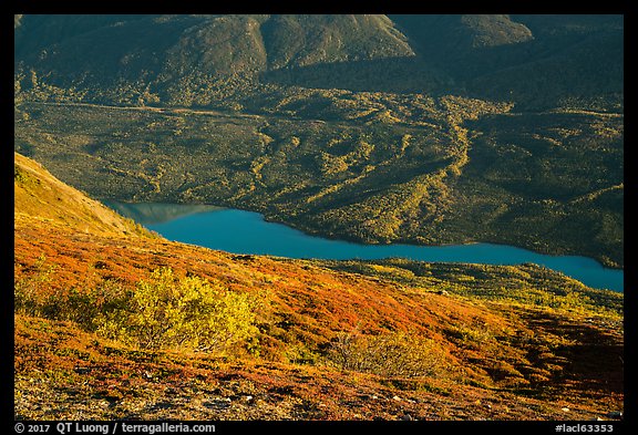 Tundra in autumn, turquoise Kontrashibuna Lake. Lake Clark National Park, Alaska, USA.