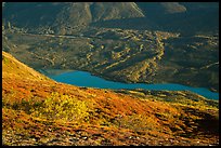 Tundra in autumn, turquoise Kontrashibuna Lake. Lake Clark National Park, Alaska, USA.