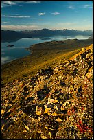 Lake Clark from Tanalian Mountain, late afternoon. Lake Clark National Park ( color)