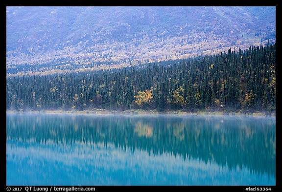 Reflections in turquoise waters, Kontrashibuna Lake. Lake Clark National Park (color)