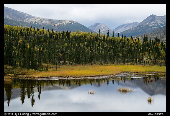 Beaver Pond and mountains. Lake Clark National Park (color)