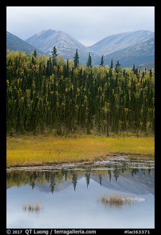 Beaver Pond in autumn. Lake Clark National Park (color)