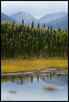 Beaver Pond in autumn. Lake Clark National Park, Alaska, USA.