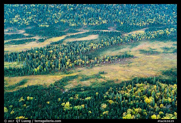 Aerial view of forest and tundra in autumn. Lake Clark National Park (color)