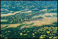 Aerial view of forest and tundra in autumn. Lake Clark National Park ( color)