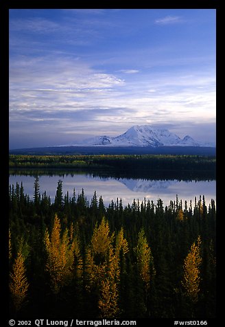 Mt Wrangell reflected in Willow lake, early morning. Wrangell-St Elias National Park (color)