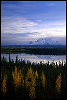 Mt Wrangell reflected in Willow lake, early morning. Wrangell-St Elias National Park, Alaska, USA.