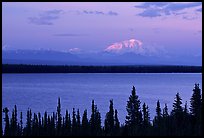 Mt Blackburn above Willow lake, sunset. Wrangell-St Elias National Park, Alaska, USA. (color)