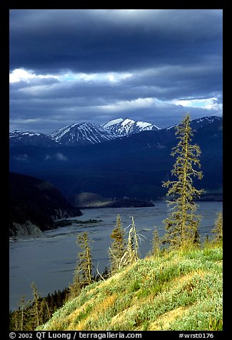 Chitina river under dark clouds. Wrangell-St Elias National Park (color)