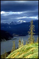 Chitina river under dark clouds. Wrangell-St Elias National Park, Alaska, USA. (color)