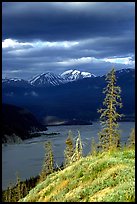 Chitina river under dark clouds. Wrangell-St Elias National Park, Alaska, USA.