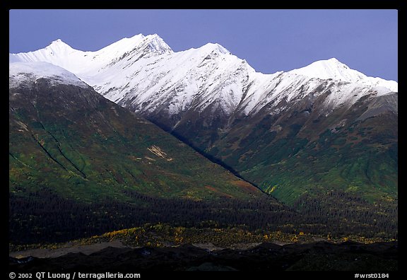 Fireweed mountains near Kennicott. Wrangell-St Elias National Park (color)