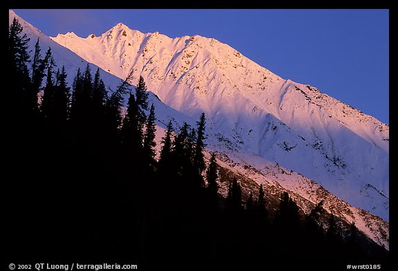 Bonanza ridge near Kennicott, sunset. Wrangell-St Elias National Park (color)