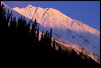 Bonanza ridge near Kennicott, sunset. Wrangell-St Elias National Park ( color)