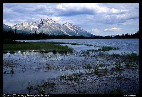 Bonaza ridge seen above a pond at the base Donoho Peak, afternoon. Wrangell-St Elias National Park, Alaska, USA.