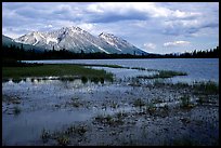 Bonaza ridge seen above a pond at the base of Mt Donoho, afternoon. Wrangell-St Elias National Park, Alaska, USA. (color)