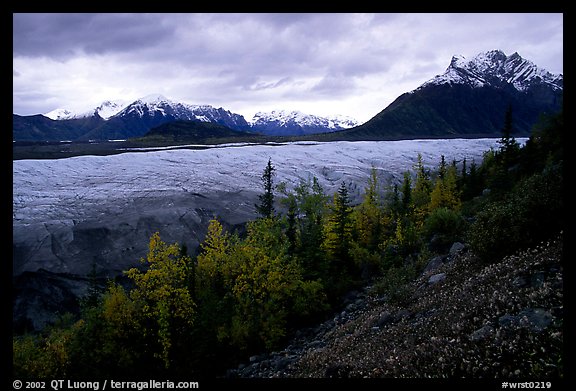 Fall colors, Mt Donoho above Root glacier. Wrangell-St Elias National Park, Alaska, USA.