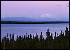 Wrangell range and Mt Blackburn above Willow Lake with pink sunset hues. Wrangell-St Elias National Park ( color)