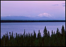 Wrangell range and Mt Blackburn above Willow Lake with pink sunset hues. Wrangell-St Elias National Park, Alaska, USA.