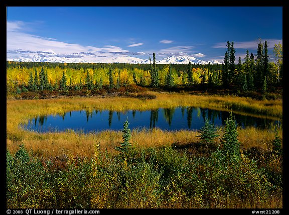 Pond and Wrangell range in the distance. Wrangell-St Elias National Park, Alaska, USA.