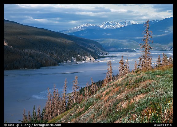 Wide Chitina river. Wrangell-St Elias National Park, Alaska, USA.