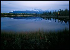 Pond with mountain reflections at dusk, near Chokosna. Wrangell-St Elias National Park ( color)