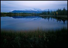 Pond with mountain reflections at dusk, near Chokosna. Wrangell-St Elias National Park, Alaska, USA.