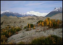 Mt Wrangell and Root Glacier moraines seen from Kenicott. Wrangell-St Elias National Park, Alaska, USA. (color)