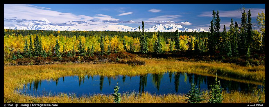 Autumn landscape with pond, forest, and distant mountains. Wrangell-St Elias National Park, Alaska, USA.