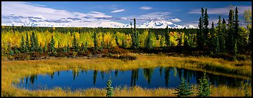 Autumn landscape with pond, forest, and distant mountains. Wrangell-St Elias National Park (Panoramic color)