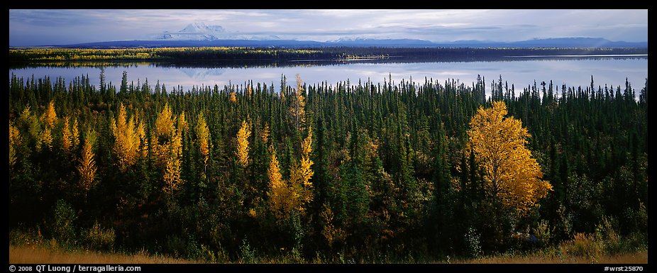 Autumn scenery with forest, lake, and distant mountains. Wrangell-St Elias National Park (color)